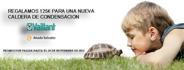 Promocion_Vaillant_Calderas_condensacion_web