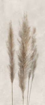 Revestimiento decorativo DECORI PAMPA 120X278cm pasta blanca