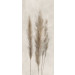 Revestimiento decorativo DECORI PAMPA 120X278cm pasta blanca